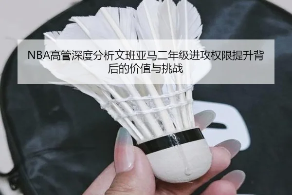 NBA高管深度分析文班亚马二年级进攻权限提升背后的价值与挑战