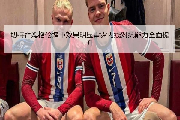 img_1783250090146_851_0_105.jpg